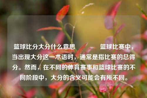 篮球比分大分什么意思🏐篮球比赛中，当出现大分这一术语时，通常是指比赛的总得分。然而，在不同的体育赛事和篮球比赛的不同阶段中，大分的含义可能会有所不同。