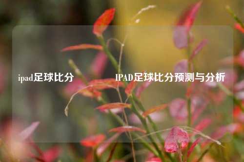 ipad足球比分🥎IPAD足球比分预测与分析