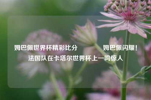 姆巴佩世界杯精彩比分👉姆巴佩闪耀!法国队在卡塔尔世界杯上一鸣惊人