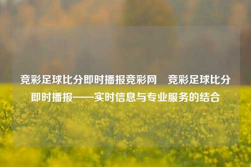 竞彩足球比分即时播报竞彩网⚾竞彩足球比分即时播报——实时信息与专业服务的结合