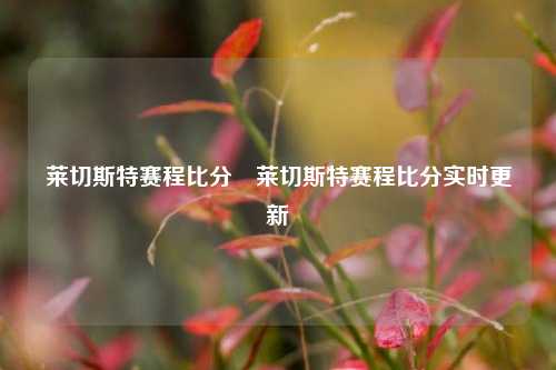 莱切斯特赛程比分⚽莱切斯特赛程比分实时更新