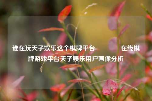 谁在玩天子娱乐这个棋牌平台👉在线棋牌游戏平台天子娱乐用户画像分析