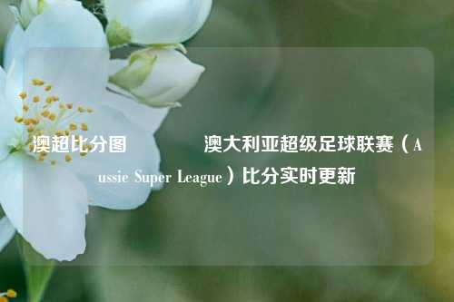 澳超比分图👈澳大利亚超级足球联赛（Aussie Super League）比分实时更新