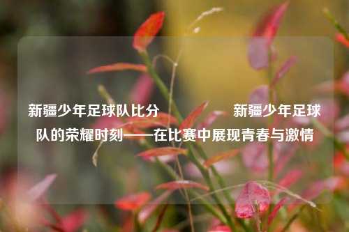 新疆少年足球队比分🎖️新疆少年足球队的荣耀时刻——在比赛中展现青春与激情