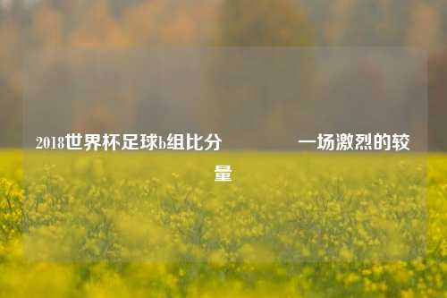 2018世界杯足球b组比分👍一场激烈的较量