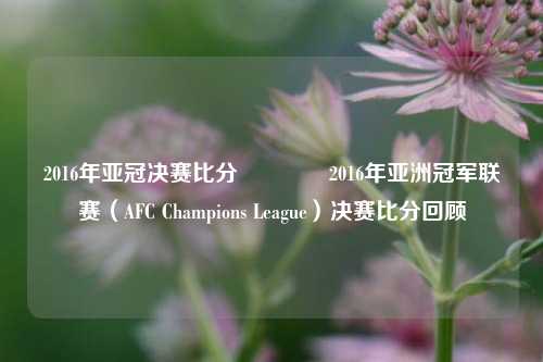 2016年亚冠决赛比分👈2016年亚洲冠军联赛（AFC Champions League）决赛比分回顾