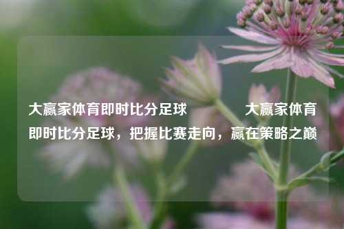 大赢家体育即时比分足球🏆大赢家体育即时比分足球，把握比赛走向，赢在策略之巅