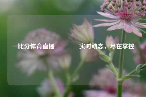 一比分体育直播🥎实时动态，尽在掌控