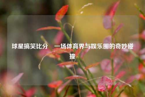 球星搞笑比分⚾一场体育界与娱乐圈的奇妙碰撞