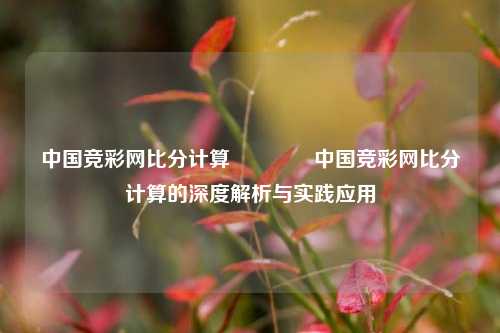中国竞彩网比分计算👉中国竞彩网比分计算的深度解析与实践应用