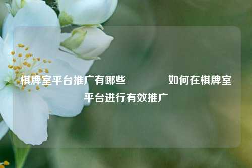 棋牌室平台推广有哪些🥉如何在棋牌室平台进行有效推广