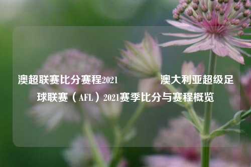澳超联赛比分赛程2021🥇澳大利亚超级足球联赛（AFL）2021赛季比分与赛程概览