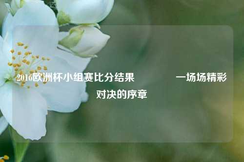 2016欧洲杯小组赛比分结果🥈一场场精彩对决的序章