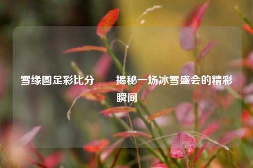 雪缘圆足彩比分✌️揭秘一场冰雪盛会的精彩瞬间