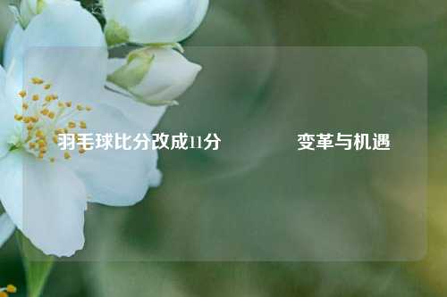 羽毛球比分改成11分🏀变革与机遇