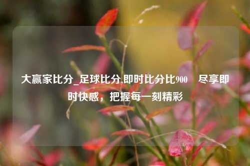 大赢家比分_足球比分,即时比分比900⚾尽享即时快感，把握每一刻精彩