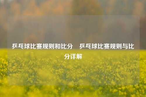 乒乓球比赛规则和比分⚽乒乓球比赛规则与比分详解
