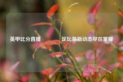 英甲比分直播🏐足坛最新动态尽在掌握