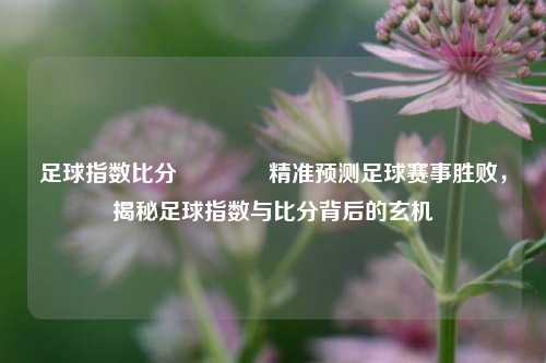 足球指数比分👈精准预测足球赛事胜败，揭秘足球指数与比分背后的玄机