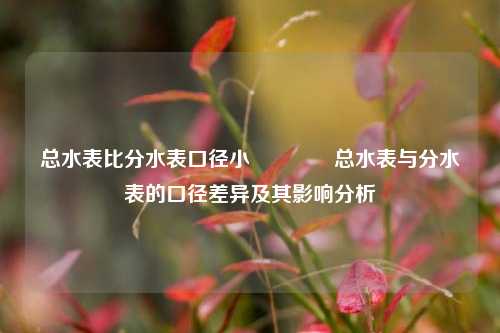 总水表比分水表口径小🥈总水表与分水表的口径差异及其影响分析