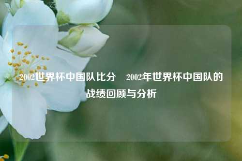 2002世界杯中国队比分⚾2002年世界杯中国队的战绩回顾与分析