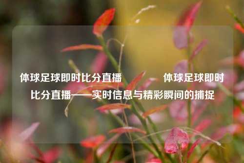 体球足球即时比分直播👍体球足球即时比分直播——实时信息与精彩瞬间的捕捉