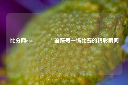 比分网nba🥈追踪每一场比赛的精彩瞬间