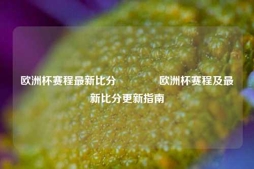 欧洲杯赛程最新比分🥎欧洲杯赛程及最新比分更新指南