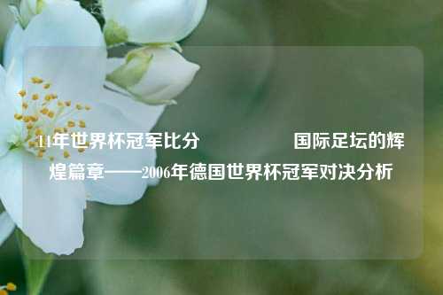 14年世界杯冠军比分🎖️国际足坛的辉煌篇章——2006年德国世界杯冠军对决分析
