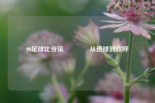 90足球比分滚🏆从进球到欢呼