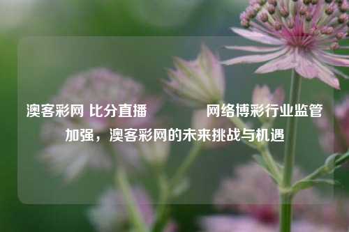 澳客彩网 比分直播🥇网络博彩行业监管加强，澳客彩网的未来挑战与机遇