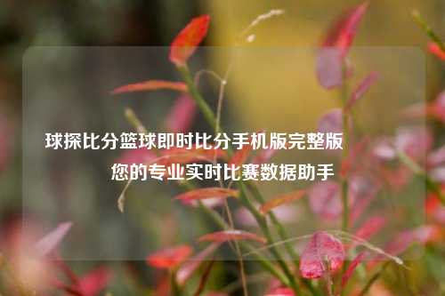 球探比分篮球即时比分手机版完整版🌈您的专业实时比赛数据助手