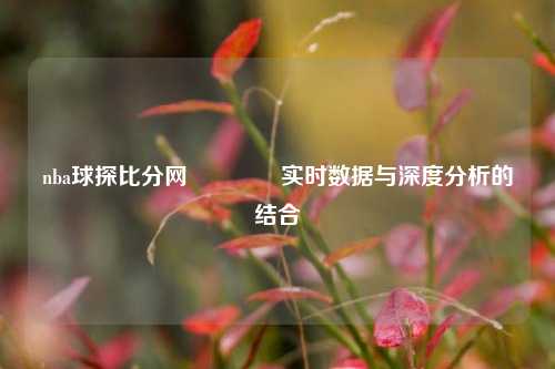 nba球探比分网🥎实时数据与深度分析的结合