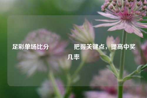足彩单场比分🥇把握关键点，提高中奖几率