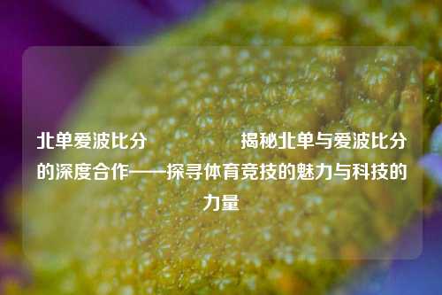 北单爱波比分🎖️揭秘北单与爱波比分的深度合作——探寻体育竞技的魅力与科技的力量