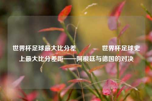 世界杯足球最大比分差🥈世界杯足球史上最大比分差距——阿根廷与德国的对决