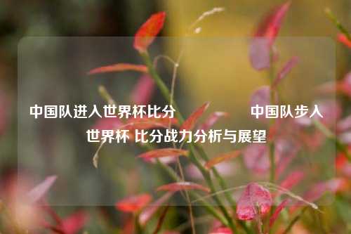 中国队进入世界杯比分🎖️中国队步入世界杯 比分战力分析与展望