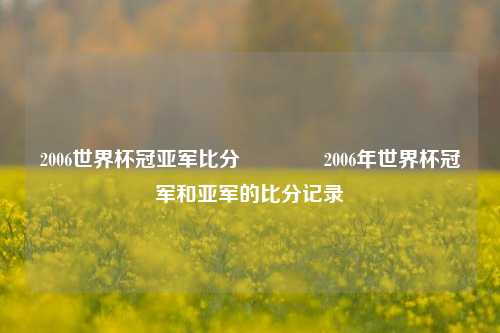 2006世界杯冠亚军比分🌈2006年世界杯冠军和亚军的比分记录