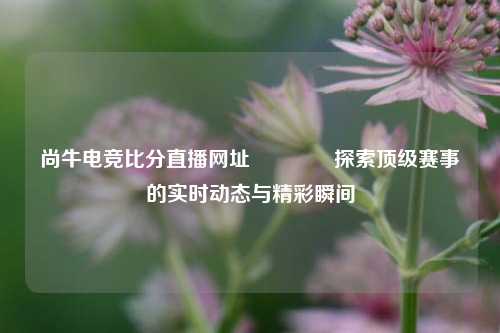 尚牛电竞比分直播网址🏅探索顶级赛事的实时动态与精彩瞬间