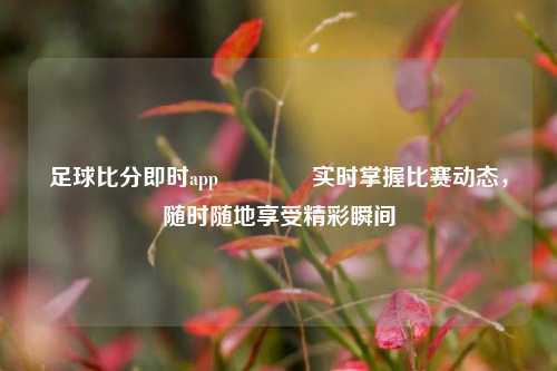 足球比分即时app🥈实时掌握比赛动态，随时随地享受精彩瞬间
