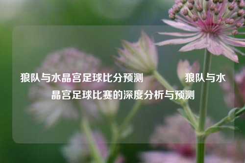 狼队与水晶宫足球比分预测👉狼队与水晶宫足球比赛的深度分析与预测