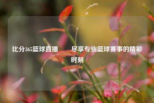 比分365篮球直播✌️尽享专业篮球赛事的精彩时刻
