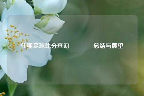 往期足球比分查询🏐总结与展望