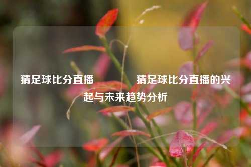 猜足球比分直播👉猜足球比分直播的兴起与未来趋势分析