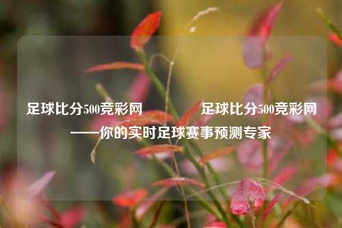 足球比分500竞彩网👉足球比分500竞彩网——你的实时足球赛事预测专家