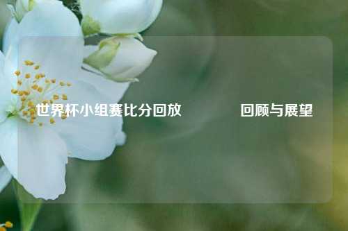 世界杯小组赛比分回放🥈回顾与展望
