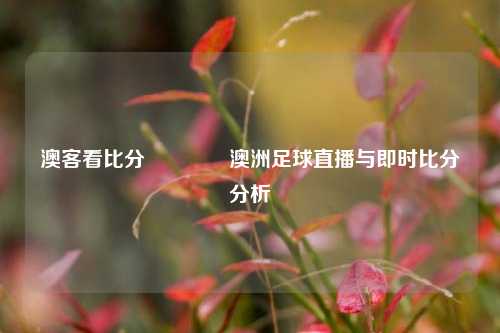 澳客看比分🥇澳洲足球直播与即时比分分析