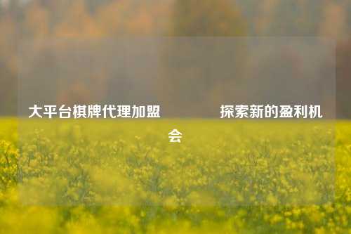 大平台棋牌代理加盟🥎探索新的盈利机会