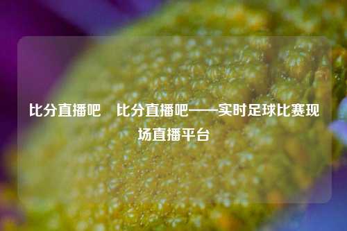 比分直播吧⚽比分直播吧——实时足球比赛现场直播平台