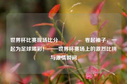 世界杯比赛现场比分🎖️卷起袖子，一起为足球喝彩！——世界杯赛场上的激烈比拼与激情瞬间